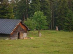 2013-07-20_Regina-F-Rau_Kochel-Rabenkopf (520).JPG